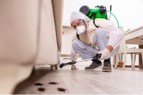 General Pest Control by Nuxus Pest Control